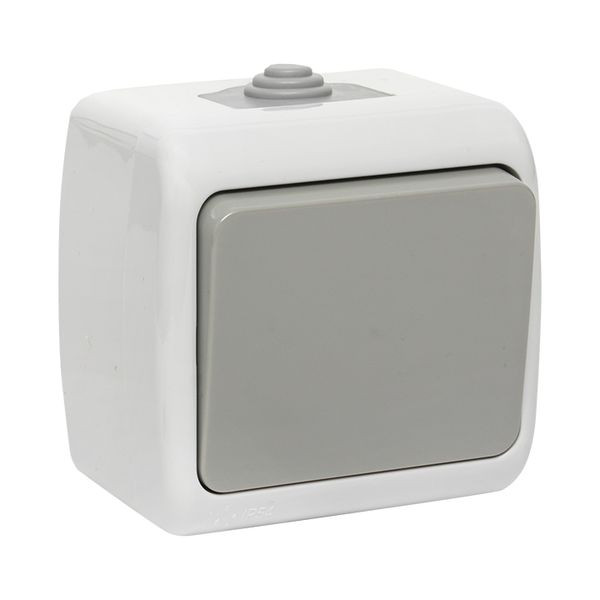 Мурманск Выключатель 1-клавишный 10А IP54 серый EKF EFV10-021-30-54 Мурманск Выключатель 1-клавишный 10А IP54 серый EKF EFV10-021-30-54