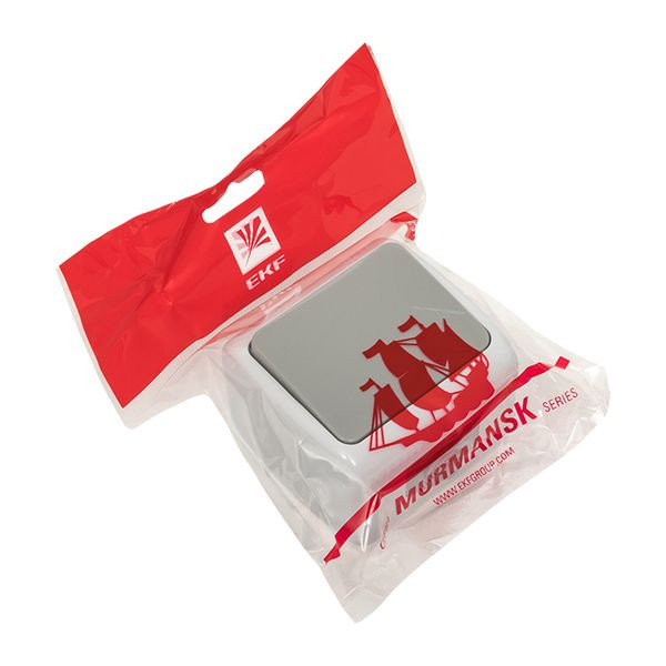 Мурманск Выключатель 1-клавишный 10А IP54 серый EKF EFV10-021-30-54 Мурманск Выключатель 1-клавишный 10А IP54 серый EKF EFV10-021-30-54