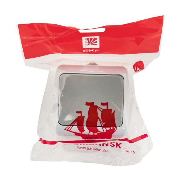 Мурманск Выключатель 1-клавишный 10А IP54 серый EKF EFV10-021-30-54 Мурманск Выключатель 1-клавишный 10А IP54 серый EKF EFV10-021-30-54