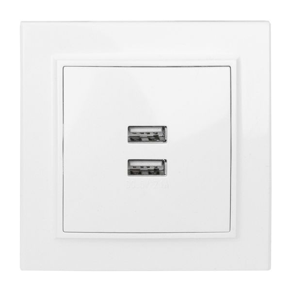 Минск Розетка USB 2-местная СП 2,1А белая EKF ERR-2USB-100 Минск Розетка USB 2-местная СП 2,1А белая EKF ERR-2USB-100