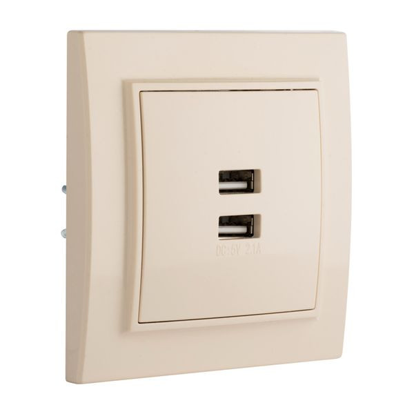 Минск Розетка USB 2-местная СП 2,1А бежевая EKF ERR-2USB-200 Минск Розетка USB 2-местная СП 2,1А бежевая EKF ERR-2USB-200