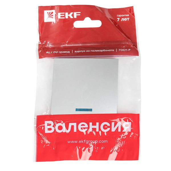 Валенсия лицевая панель выключателя 1-кл, с индикатором 10А сталь EKF PROxima ESV10-L-121-30 Валенсия лицевая панель выключателя 1-кл, с индикатором 10А сталь EKF PROxima ESV10-L-121-30