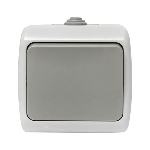 Мурманск Выключатель 1-клавишный 10А IP54 серый EKF EFV10-021-30-54 Мурманск Выключатель 1-клавишный 10А IP54 серый EKF EFV10-021-30-54