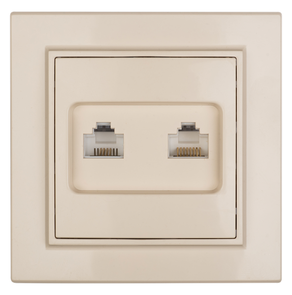 Минск Розетка RJ-45 2-местная СП бежевая EKF ERK02-035-20 Минск Розетка RJ-45 2-местная СП бежевая EKF ERK02-035-20