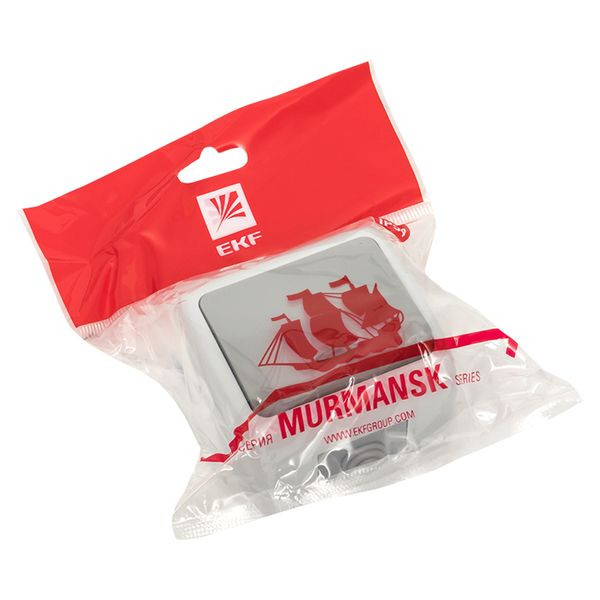 Мурманск Выключатель 1-клавишный с индикатором 10А IP54 серый EKF EFV10-121-30-54 Мурманск Выключатель 1-клавишный с индикатором 10А IP54 серый EKF EFV10-121-30-54