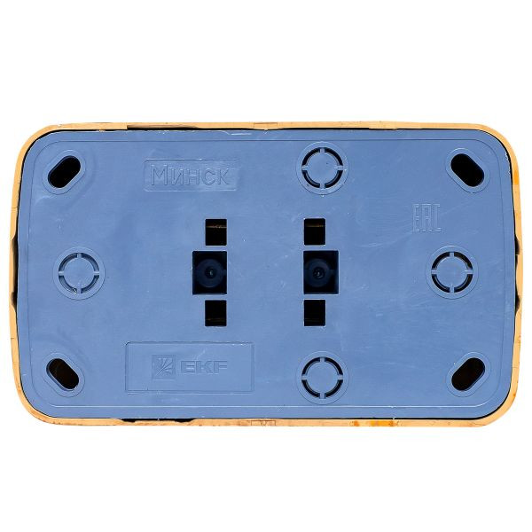 Розетка 2-местная ОП Минск 10А без заземления светлое дерево EKF EGR10-102-30 Розетка 2-местная ОП Минск 10А без заземления светлое дерево EKF EGR10-102-30