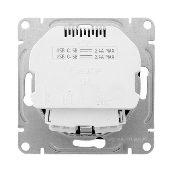 Механизм розетки с USB-C - 2шт, 16А, с заземлением, со шторками, чёрный Эпика EKF Механизм розетки с USB-C - 2шт, 16А, с заземлением, со шторками, чёрный Эпика EKF